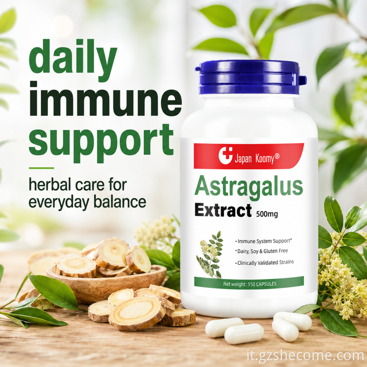 Astragalus Extract Capsules8